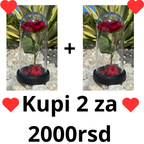 Premium Akcija 1+1 Ruža u Staklu - Nova Kolekcija