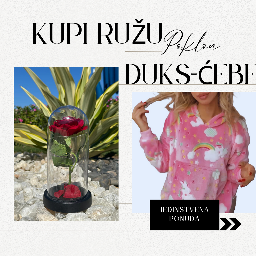 Premium Ruža + Poklon Ćebe - Nova Kolekcija